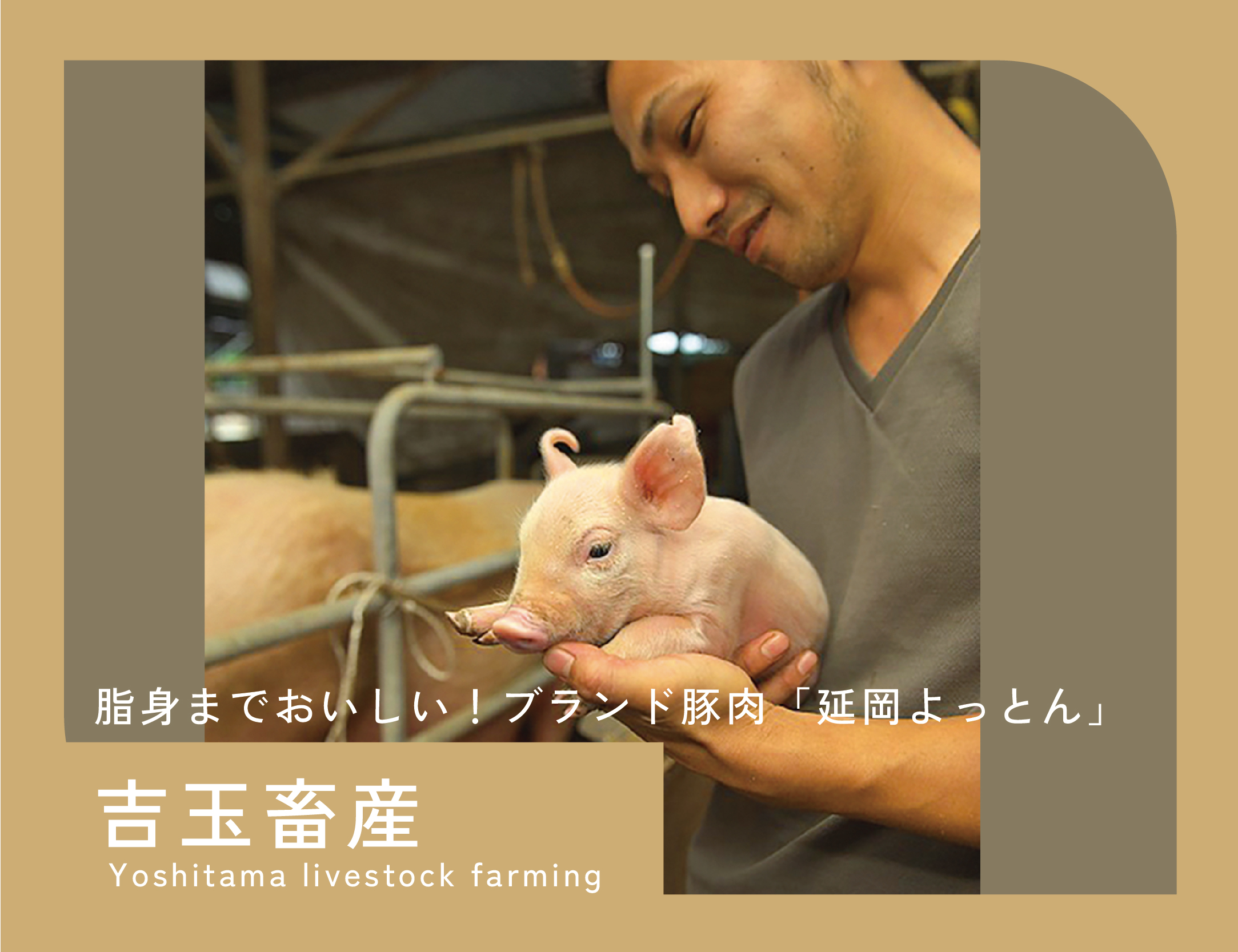 Yoshidama livestock farming